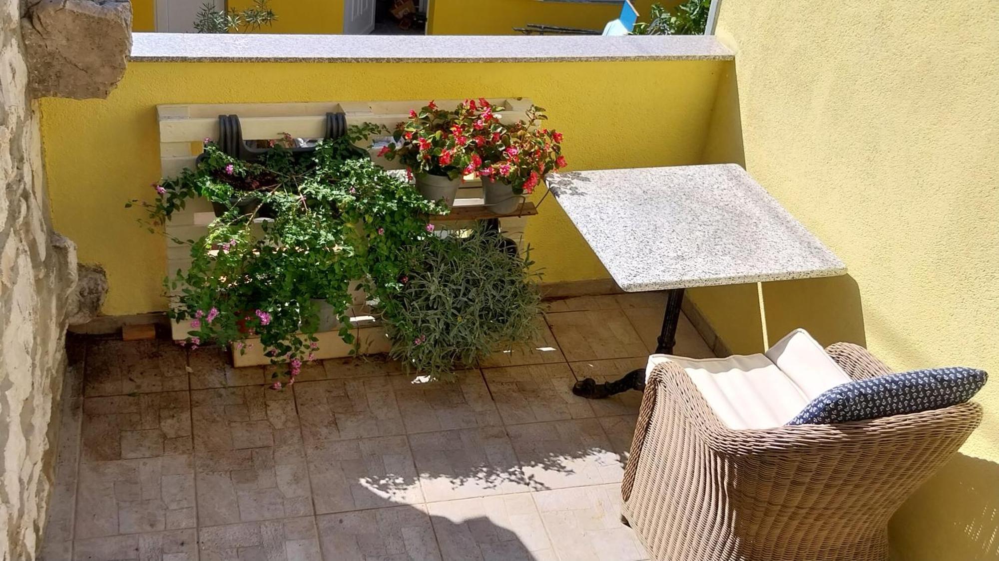 Apartment Centar, Murter